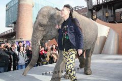 吴桥马戏团大象在北京798艺术区拍摄广告现场